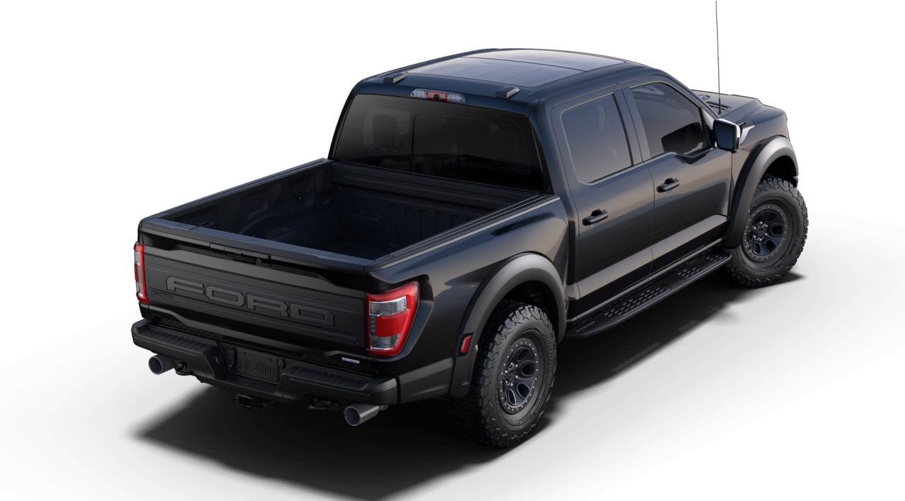 2023 Ford F-150 Raptor 4WD SuperCrew 5.5' Box Photo5