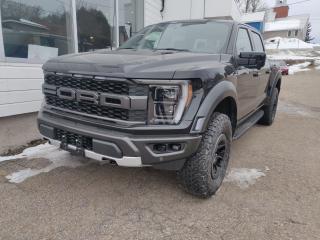 New 2023 Ford F-150 Raptor 4WD SuperCrew 5.5' Box for sale in Killaloe, ON
