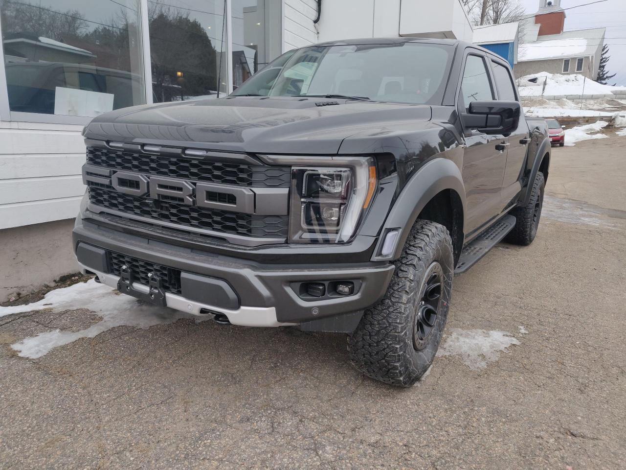 2023 Ford F-150 Raptor 4WD SuperCrew 5.5' Box Photo5