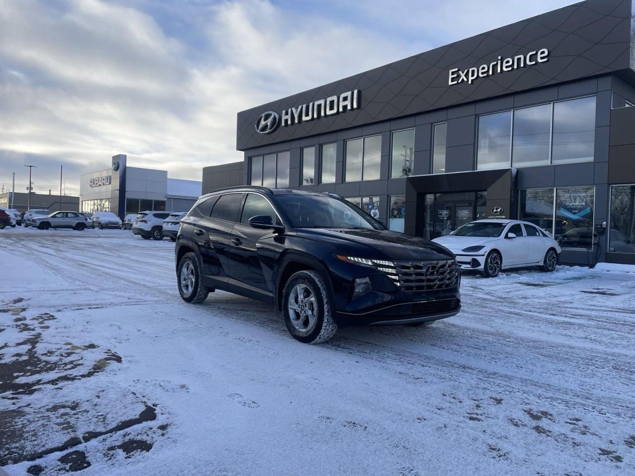 Used 2023 Hyundai Tucson Preferred w/Trend Package for sale in Charlottetown, PE