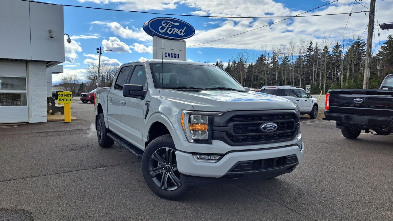 2023 Ford F-150 XLT 4WD SUPERCREW 5.5' BOX Photo5