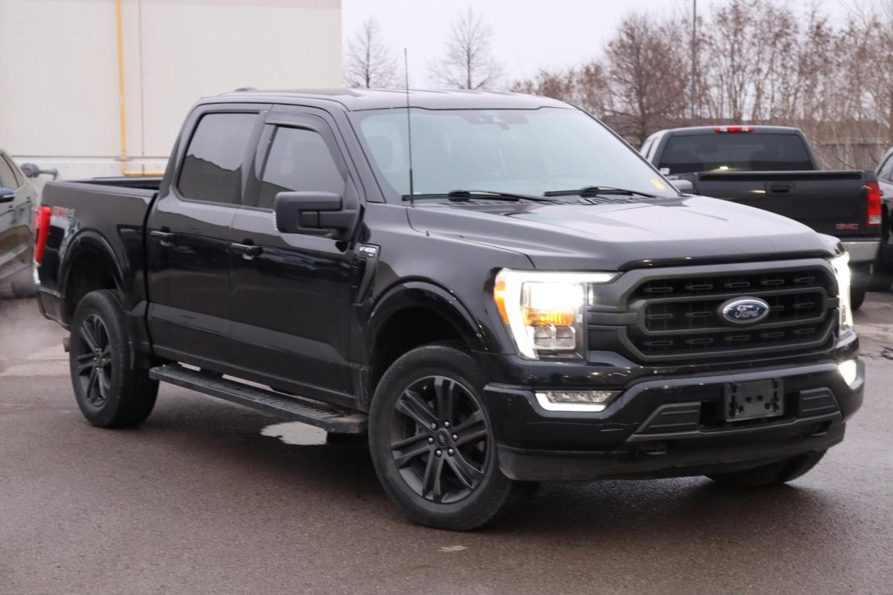 Used 2021 Ford F-150 XLT 5.0 with 302A, FX4 & Sport for sale in Hamilton, ON