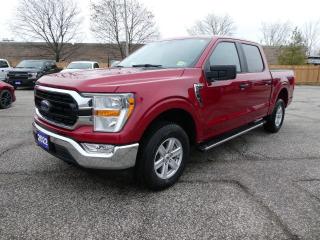 Used 2022 Ford F-150 XLT for sale in Essex, ON