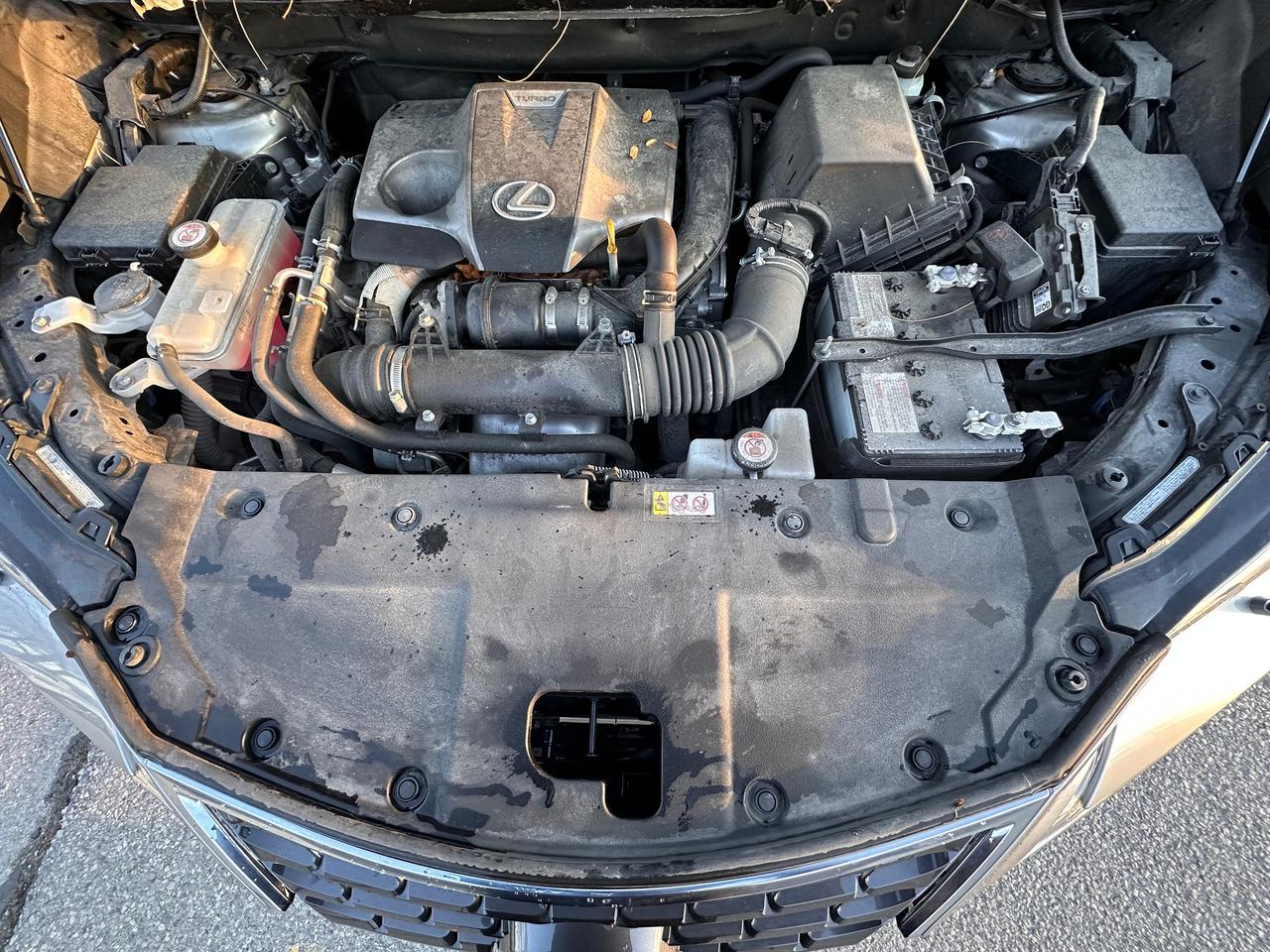 2019 Lexus NX NX300 Premium, Certified Photo