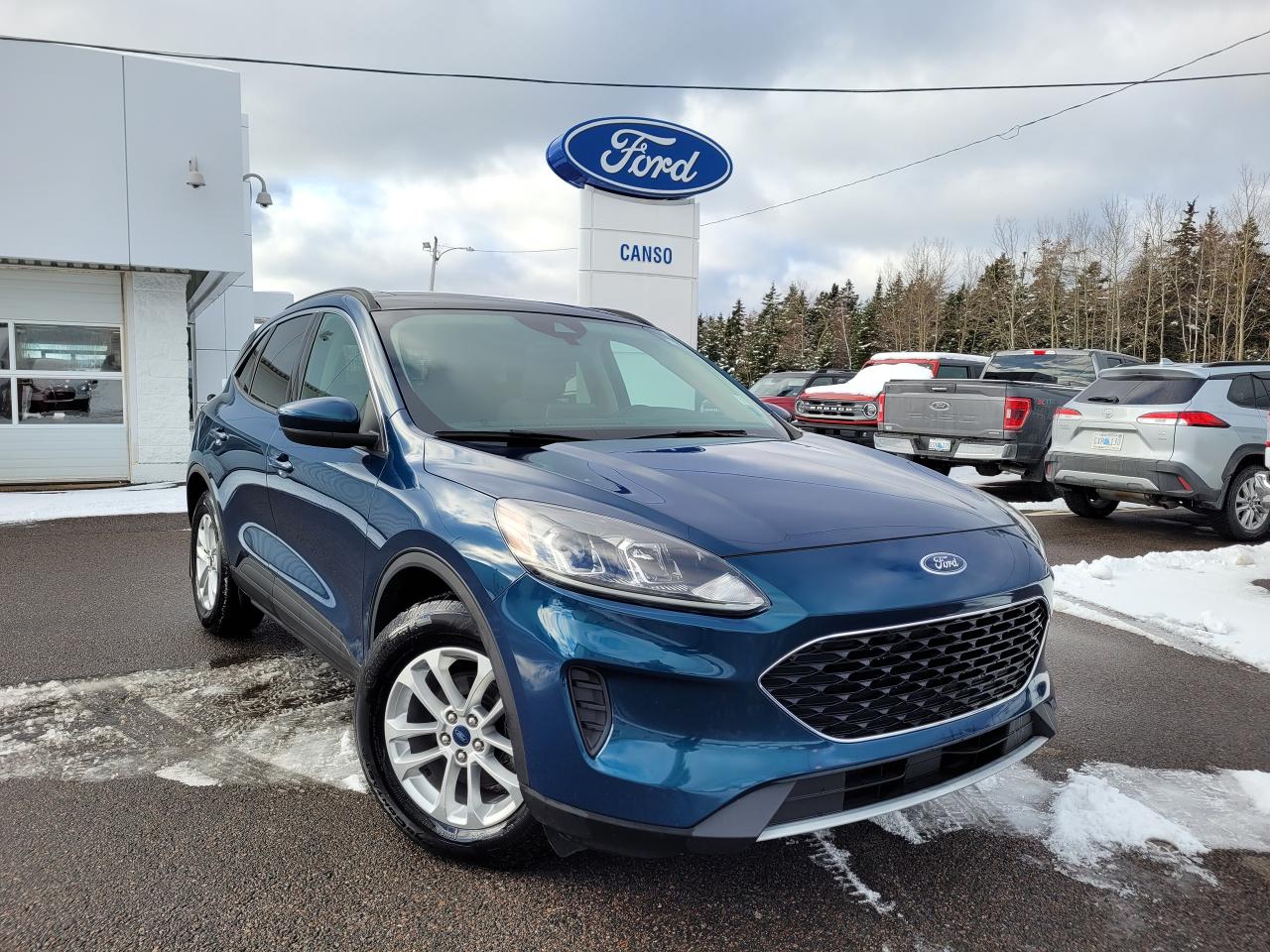 Used 2020 Ford Escape SE FWD for sale in Port Hawkesbury, NS