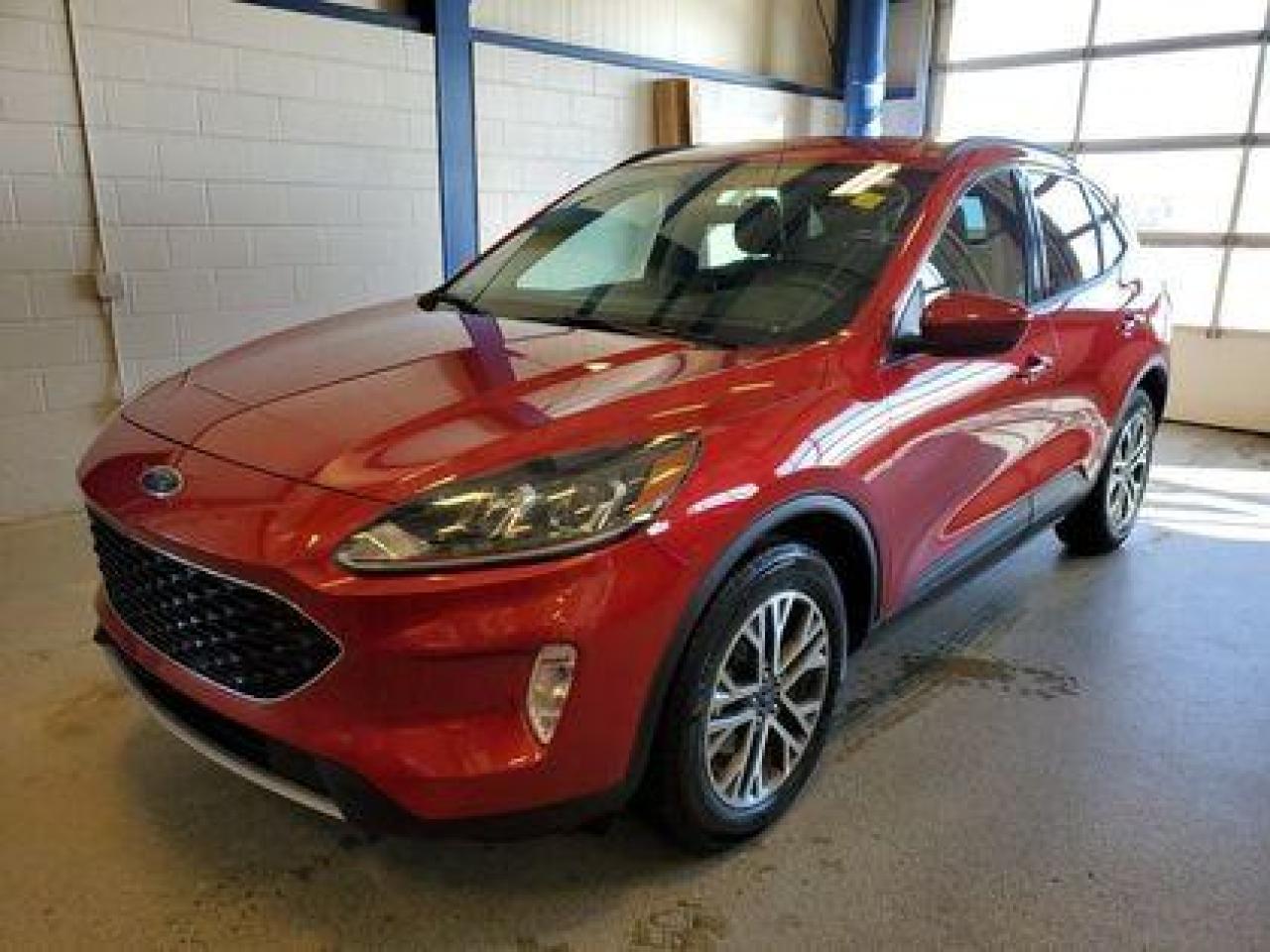 Used 2020 Ford Escape SEL for sale in Moose Jaw, SK
