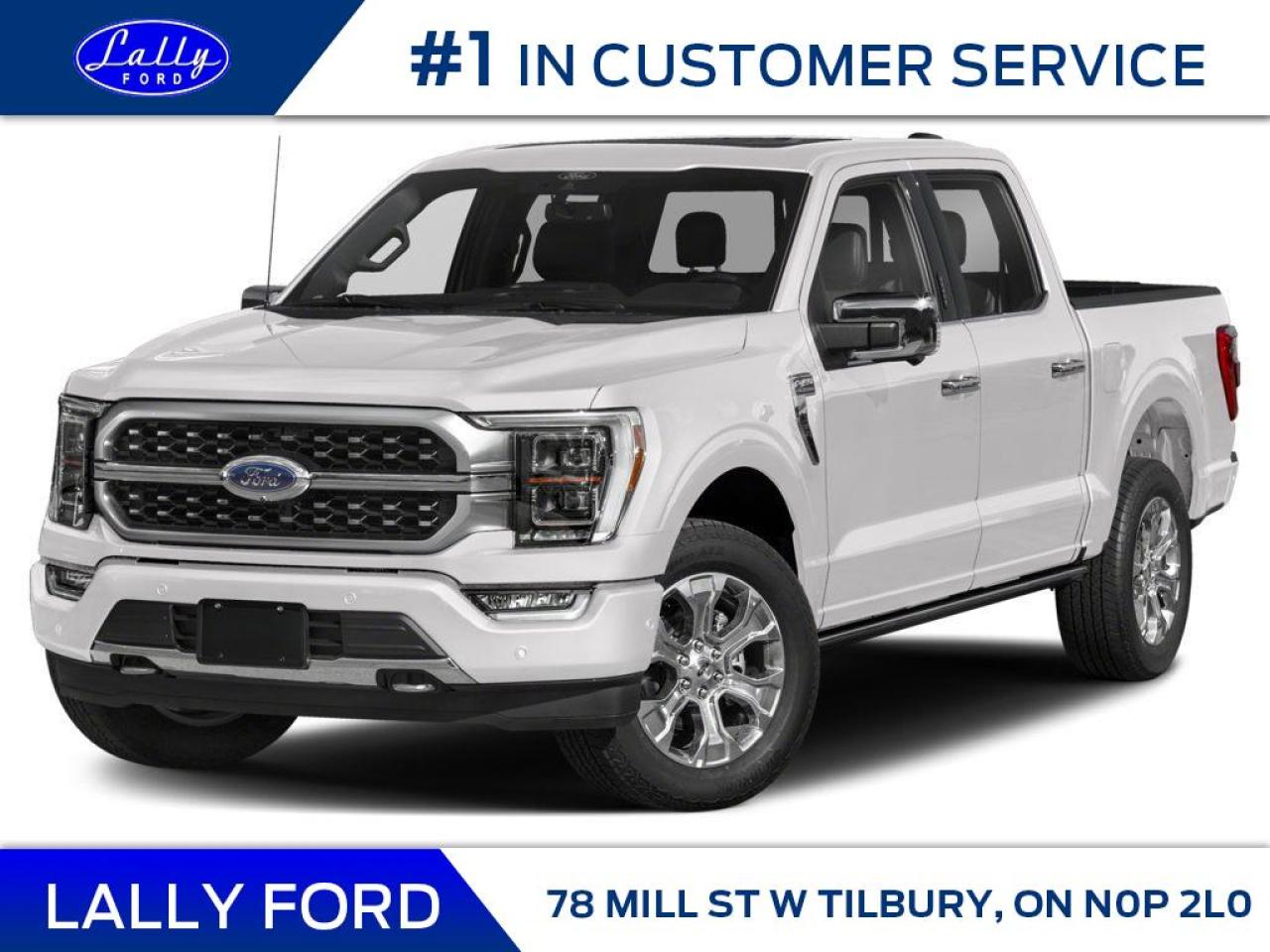 New 2023 Ford F-150 PLATINUM for sale in Tilbury, ON