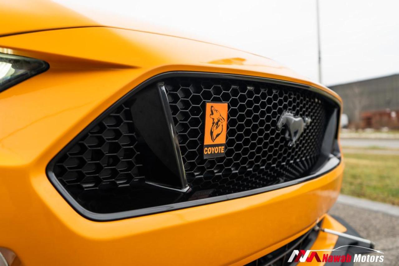 2018 Ford Mustang GT|LEATHER INTERIOR|HEATED SEATS|CARPLAY|SPOILER|ALLOYS| Photo2