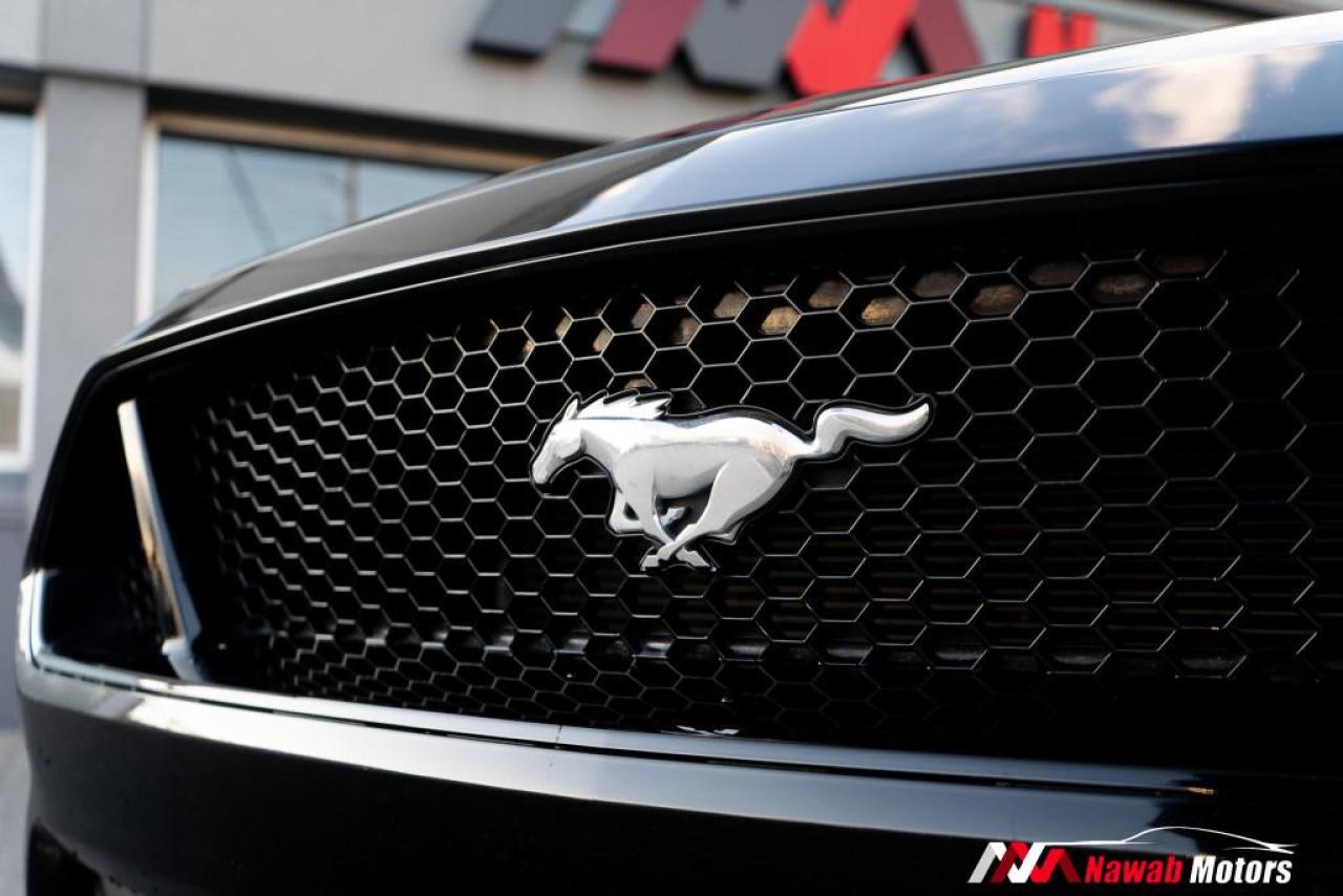 2020 Ford Mustang GT PREMIUM|RED LEATHER INTERIOR|BRAMBO BRAKES|QUAD EXHAUST| Photo2