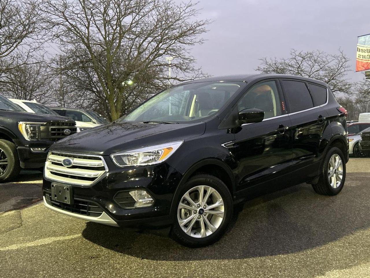 Used 2019 Ford Escape SE for sale in Mississauga, ON