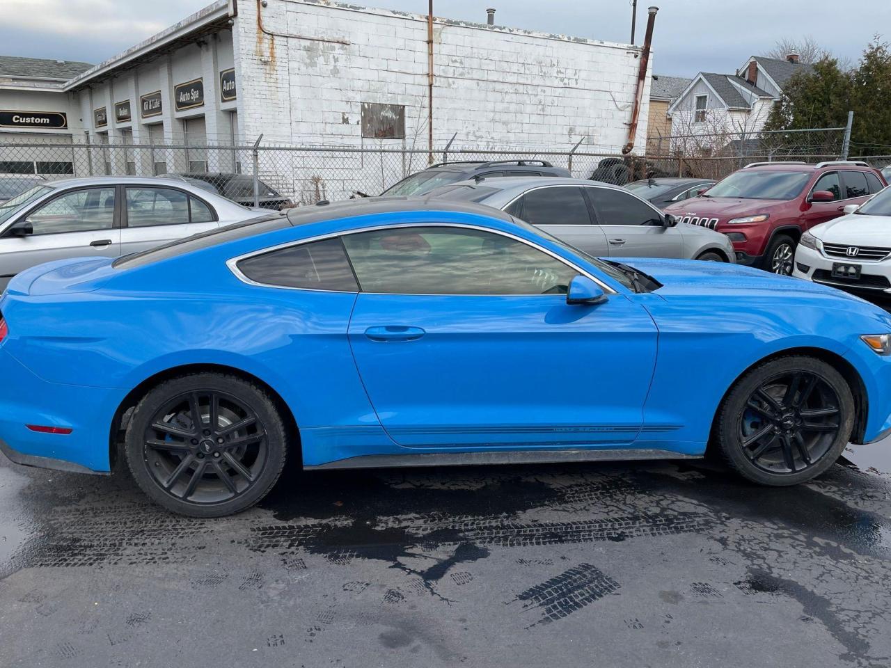 2017 Ford Mustang EcoBoost Premium *NAV, TRACK MODE, BACKUP CAMERA* - Photo #4