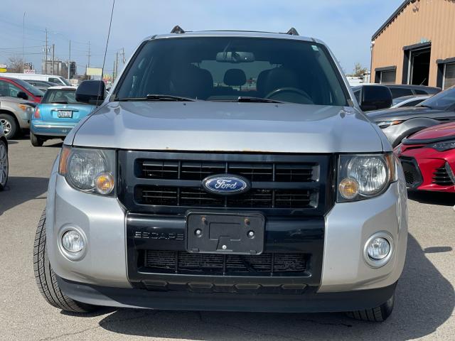 2011 Ford Escape XLT V6 / CLEAN CARFAX / LEATHER / SUNROOF Photo2