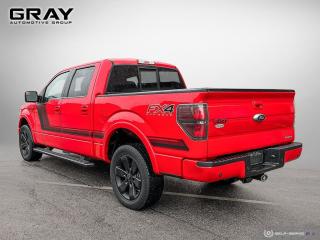 2014 Ford F-150 FX4 - Photo #3