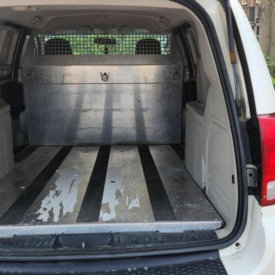 2013 Dodge Cargo Van Base - Photo #5