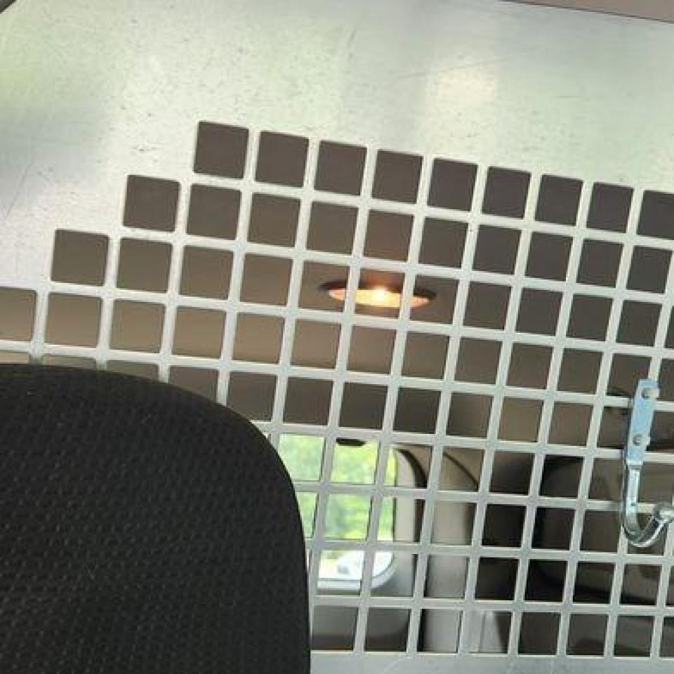 2013 Dodge Cargo Van Base - Photo #8