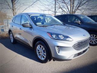 Used 2022 Ford Escape SE for sale in Saint John, NB