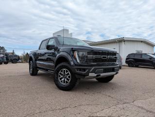 New 2023 Ford F-150 RAPTOR for sale in Tatamagouche, NS