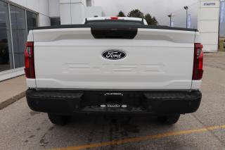 2024 Ford F-150 XL 4WD REG CAB 6.5' BOX Photo