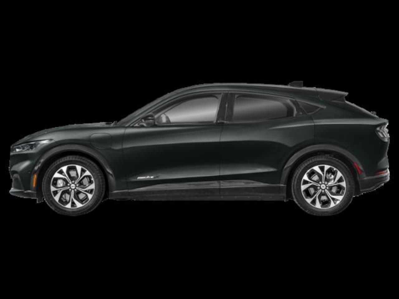 2024 Ford Mustang Mach-E Premium Photo2