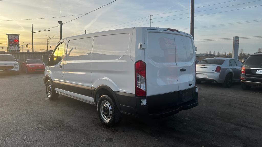 2019 Ford Transit T-150*ONLY 100KMS*CARGO VAN*PARTITIONED*SHELF*CERT - Photo #3