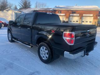 2014 Ford F-150 XLT - Photo #8