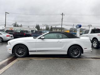 2014 Ford Mustang V6 Premium  - Leather Seats Photo