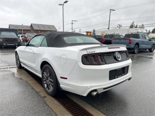 2014 Ford Mustang V6 Premium  - Leather Seats Photo