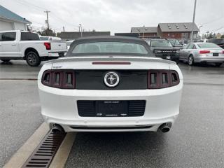 2014 Ford Mustang V6 Premium  - Leather Seats Photo