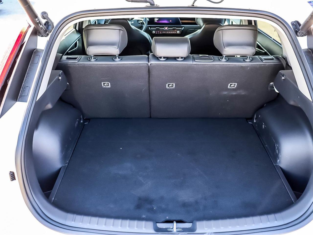 2024 Kia NIRO EV Wind+ Photo