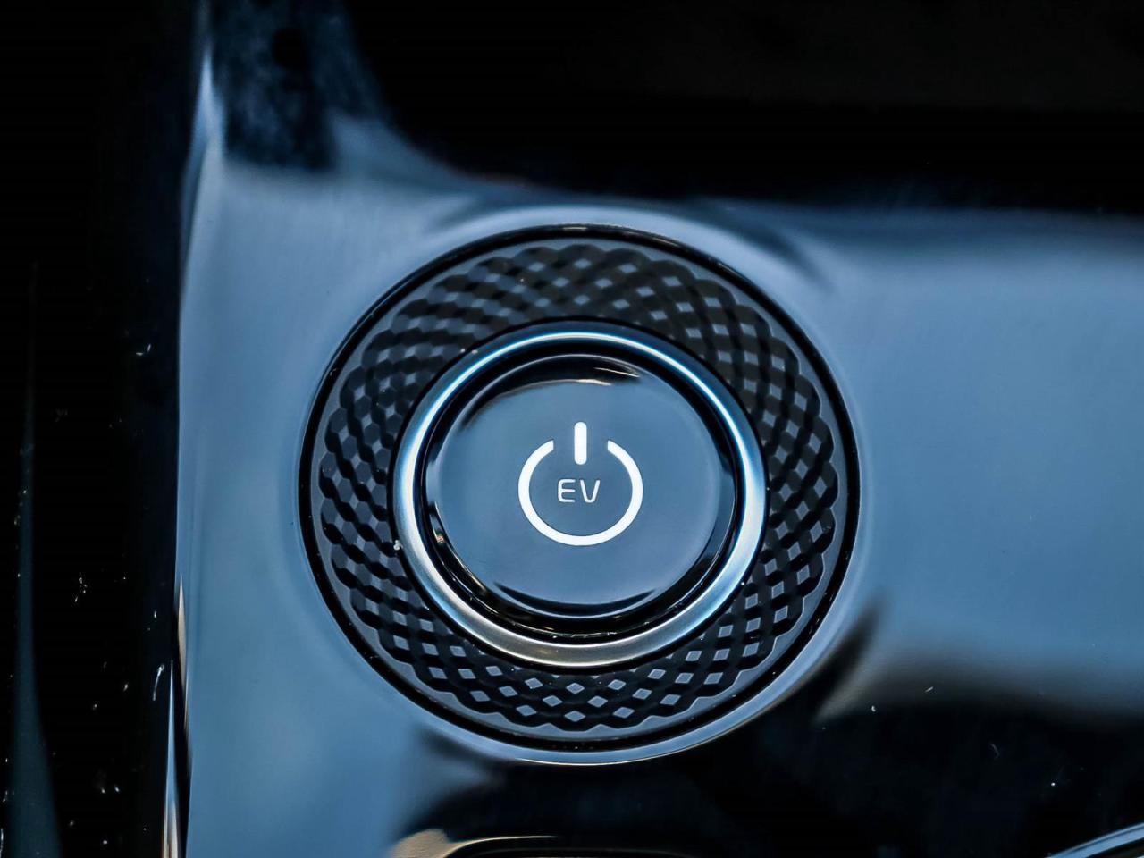 2024 Kia NIRO EV Wind+ Photo