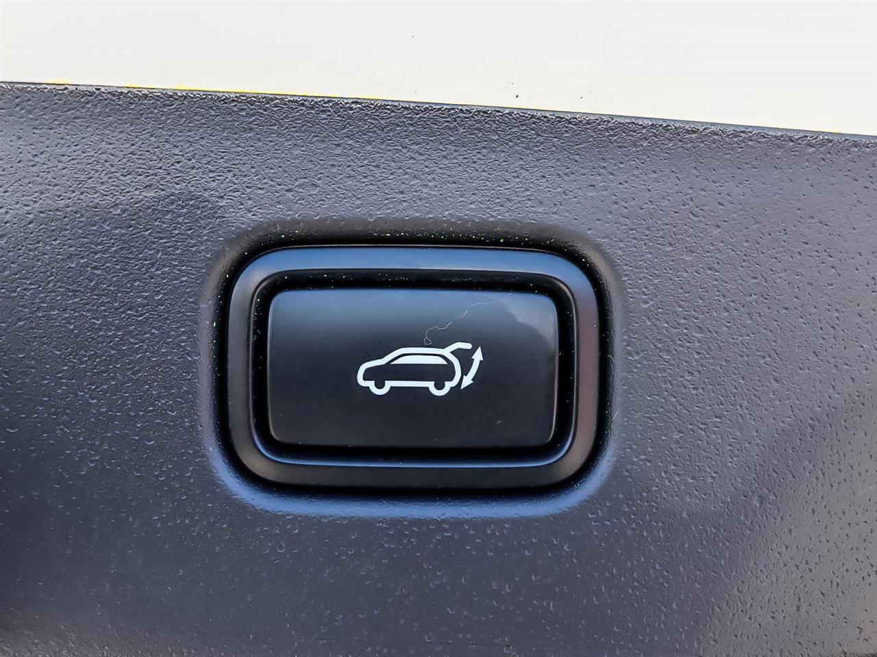 2024 Kia NIRO EV Wind+ Photo