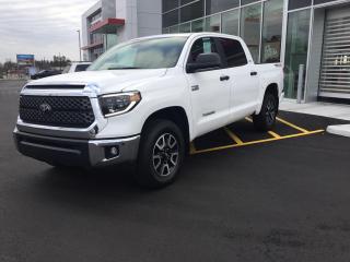 Used 2021 Toyota Tundra Trd Offroad Premium for sale in Simcoe, ON