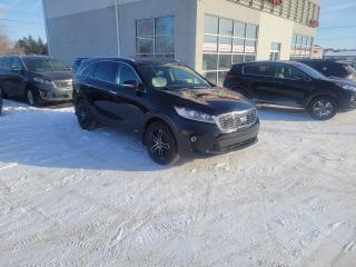 This <strong>2019 Kia Sorento</strong> for sale in <strong>Brandon</strong> is worth a look if you’re in the market for a safe, reliable, stylish and well-equipped mid-size SUV!







The Sorento is one of the most respected SUVs in its class. It offers an excellent level of comfort, it is reliable and spacious and reassuring to drive. When driving, it is impossible not to be satisfied with this vehicle.







The proposed version has only <strong>113,985 km</strong> on the clock!







Under the hood of this <strong>Sorento</strong> sits an efficient 2.4-litre four-cylinder engine. The latter offers a capacity of <strong>185 horsepower</strong> and <strong>178 pound-feet of torque</strong>. A six-speed automatic gearbox is mated to it and it sends power to all four wheels.







In terms of equipment, there’s <strong>leather seating</strong>, cruise control, Bluetooth, reversing camera, <strong>Apple CarPlay and Android Auto applications</strong>, heated front seats and steering wheel, and two-zone air conditioning system.







This <strong>black 2019 Kia Sorento </strong>is competitively-priced, so hurry down to <strong>Planet Kia </strong>in <strong>Brandon</strong> before it’s too late!

Our certified technicians have completed the following work: Oil and filter change, Replaced the cabin and engine air filter, Replaced all wiper blades, Replaced left outer tie rod end, Replaced rear stab,links and performed a four wheel alignment. We have ensured this vehicle is mechanically excellent.




Planet Kia is thrilled to be Brandon Manitoba’s Preowned Kia Superstore! With over 100 vehicles on ground including Nissan, Toyota, Honda, Acura, Volkswagen, Subaru, Hyundai, Mitsubishi, Kia, Ford, Dodge, Chevrolet, GMC with at least 50% being pre-owned Kia’s, we will find the right vehicle for you.<span> </span>



New to Canada? Bad credit? No credit?<span> </span>



At Planet Kia we have a 99% approval rate, regardless of your credit situation we can get you approved on a new or used vehicle, if we cant do it then no one can!<span> </span>

<span> </span>

We are proud to be the #1 Kia dealer in the Westman Five years in a row! With our best priced dealer award, come see why consumers are choosing us.