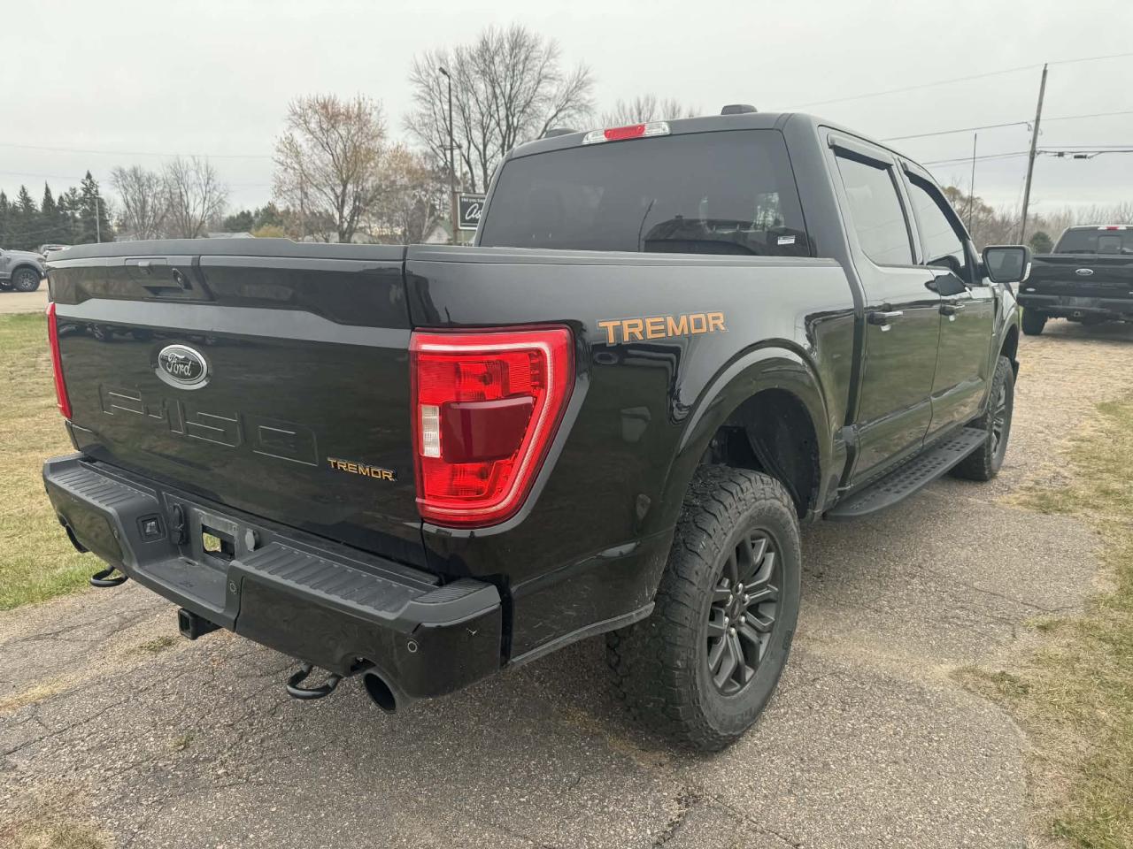 2023 Ford F-150 Tremor Photo