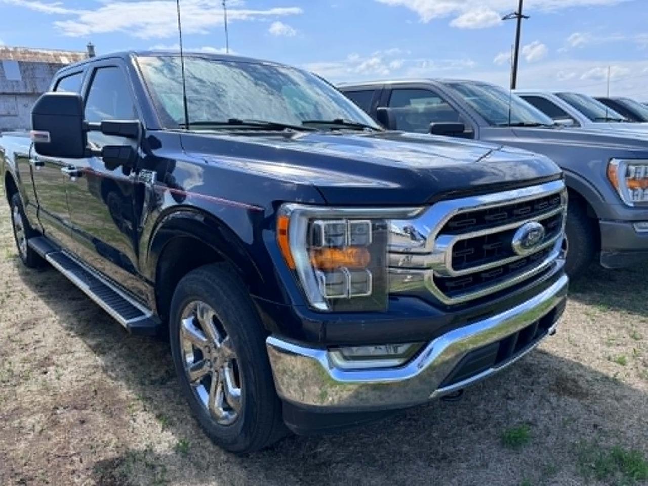 2023 Ford F-150 XLT Photo4