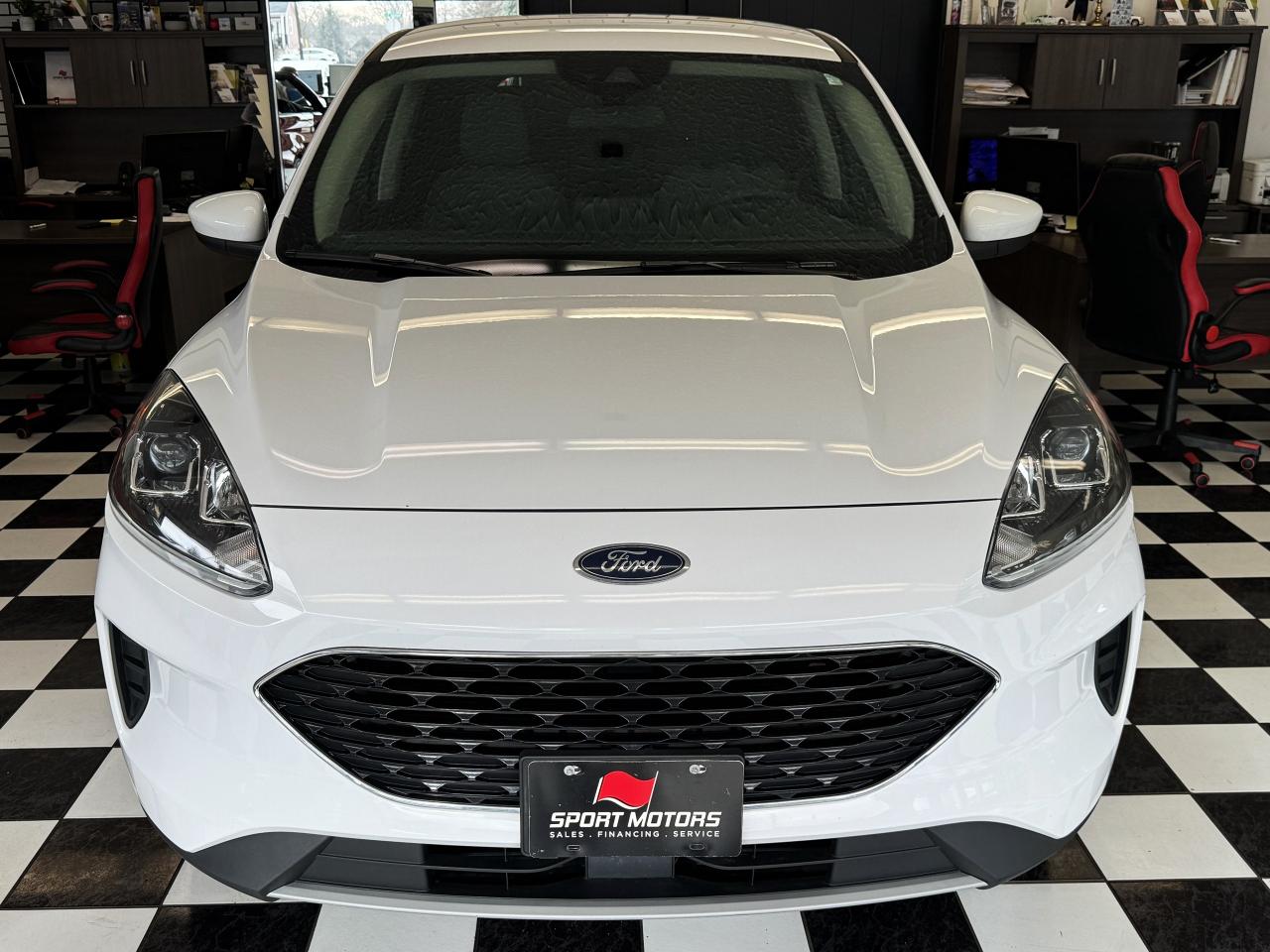 2020 Ford Escape SE+ApplePlay+Adaptive Cruise+LaneKeep+CLEAN CARFAX - Photo #6