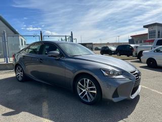 2020 Lexus IS IS300-Push button Start-Back up Cam-Leather - Photo #3