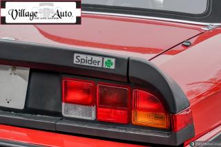 1989 Alfa Romeo Spider 2dr Coupe Quadrifoglio - Photo #8