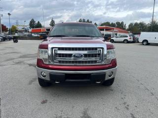 2014 Ford F-150 4WD SUPERCREW 157" XLT - Photo #3