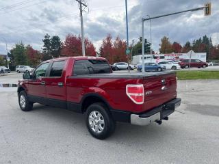 2014 Ford F-150 4WD SUPERCREW 157" XLT - Photo #7
