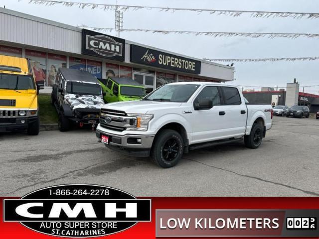 2019 Ford F-150 XLT  LOW-KMS TOW-CTRL APPLE-CP REAR-CAM