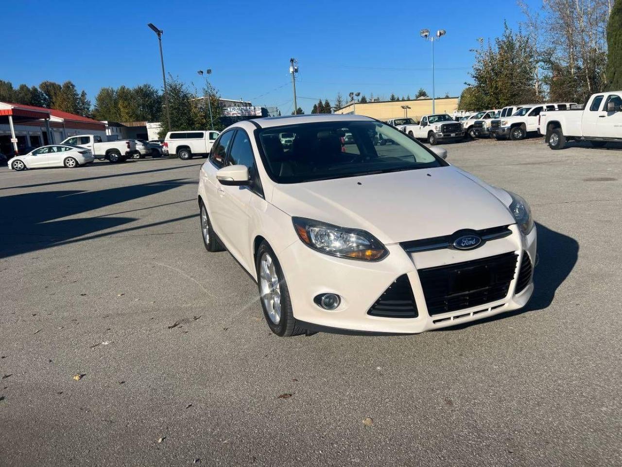 Used 2014 Ford Focus 5dr HB Titanium for sale in Surrey, BC