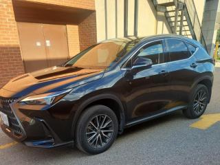 2023 Lexus NX NX 250 AWD - Photo #3