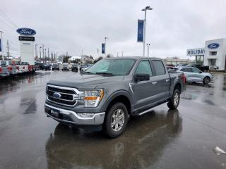 New 2023 Ford F-150 XLT for sale in Peterborough, ON