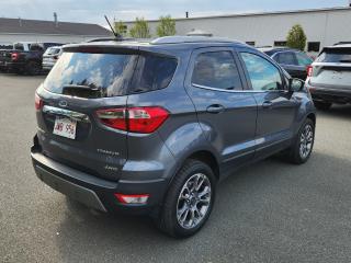 2019 Ford EcoSport SES Photo
