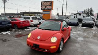 Used 2004 Volkswagen New Beetle CONVERTIBLE*MANUAL*VERY CLEAN*ONLY 184KMS*CERT for sale in London, ON