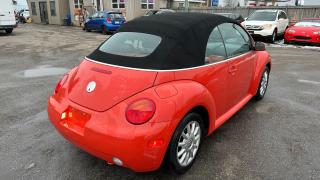 2004 Volkswagen New Beetle CONVERTIBLE*MANUAL*VERY CLEAN*ONLY 184KMS*CERT - Photo #5