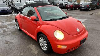 2004 Volkswagen New Beetle CONVERTIBLE*MANUAL*VERY CLEAN*ONLY 184KMS*CERT - Photo #7