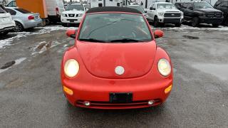 2004 Volkswagen New Beetle CONVERTIBLE*MANUAL*VERY CLEAN*ONLY 184KMS*CERT - Photo #8