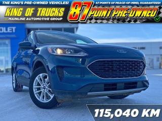 Used 2020 Ford Escape SE for sale in Rosetown, SK